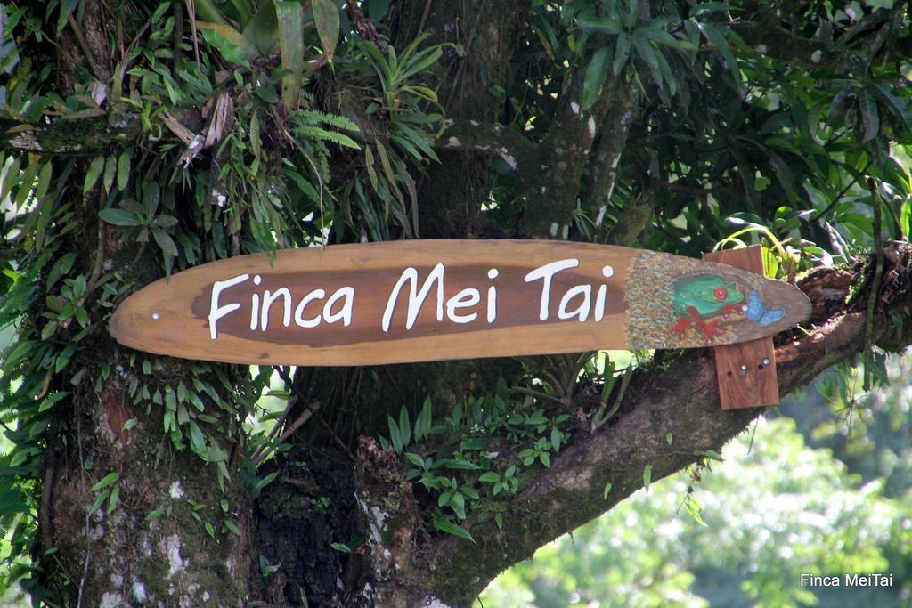 Tai Cacao Bed & Breakfast 3*