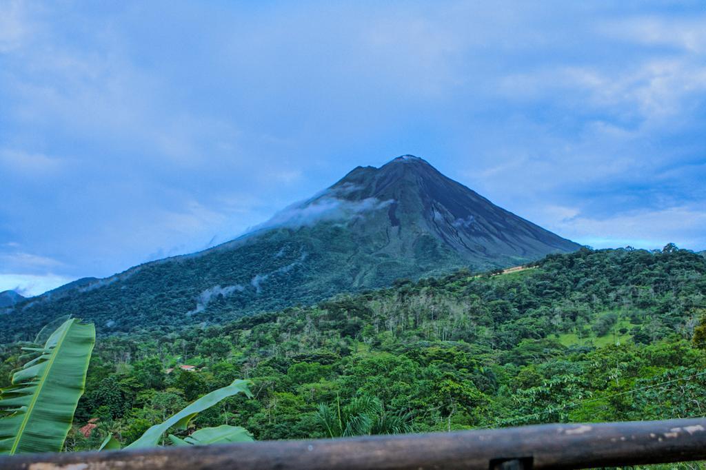Lodge Mountain Paradise