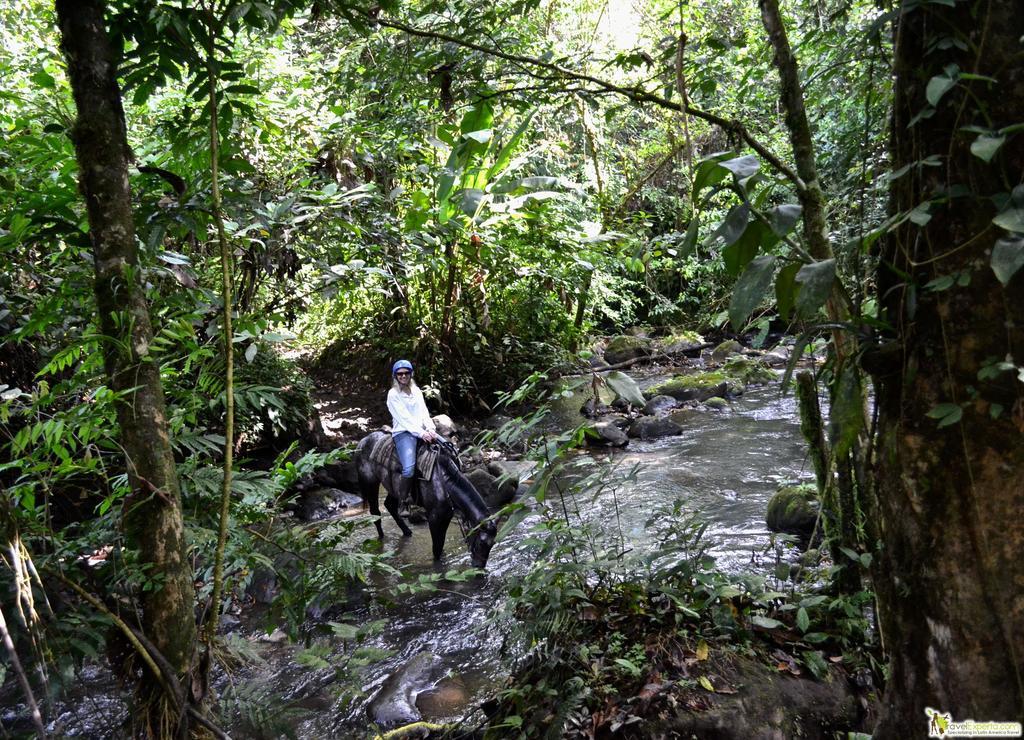The Royal Corin Thermal Water & - Adults Only La Fortuna
