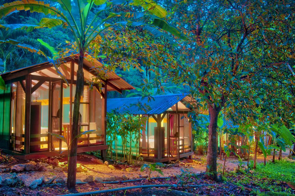 Hotel Jungle's Edge Nosara