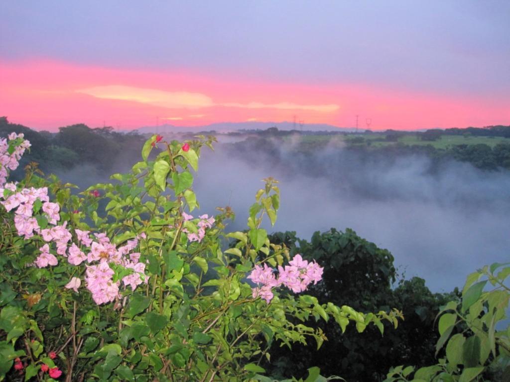 Casa Bella Rita Bed & Breakfast