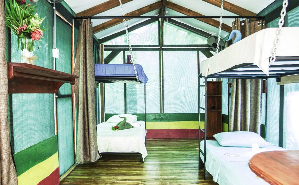 Hotel Jungle's Edge 3*