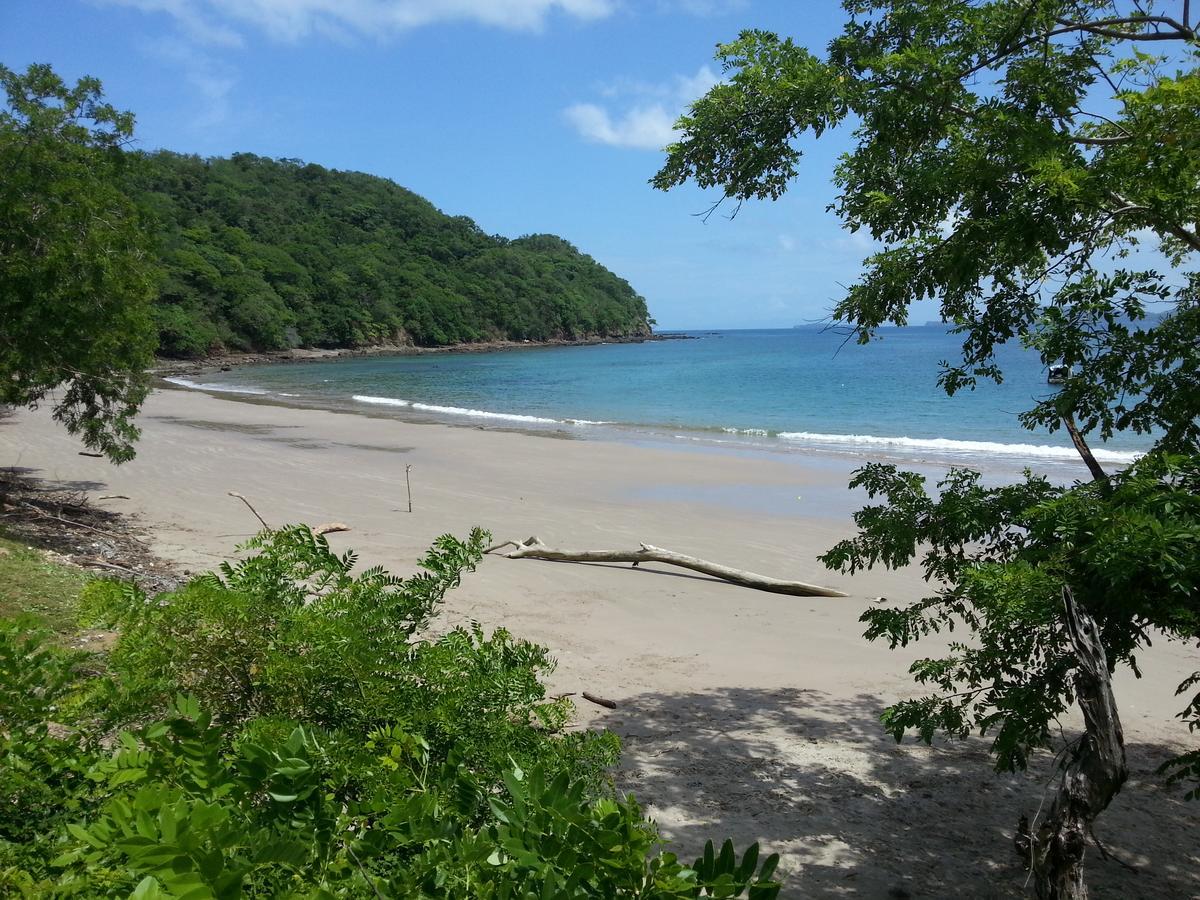 Seahorse Bed & Breakfast Tamarindo