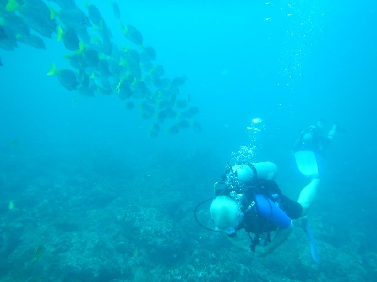Seahorse Bed & Breakfast 3*