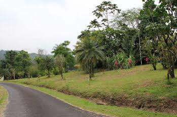 Hotel Kokoro Mineral Hot Springs 3*