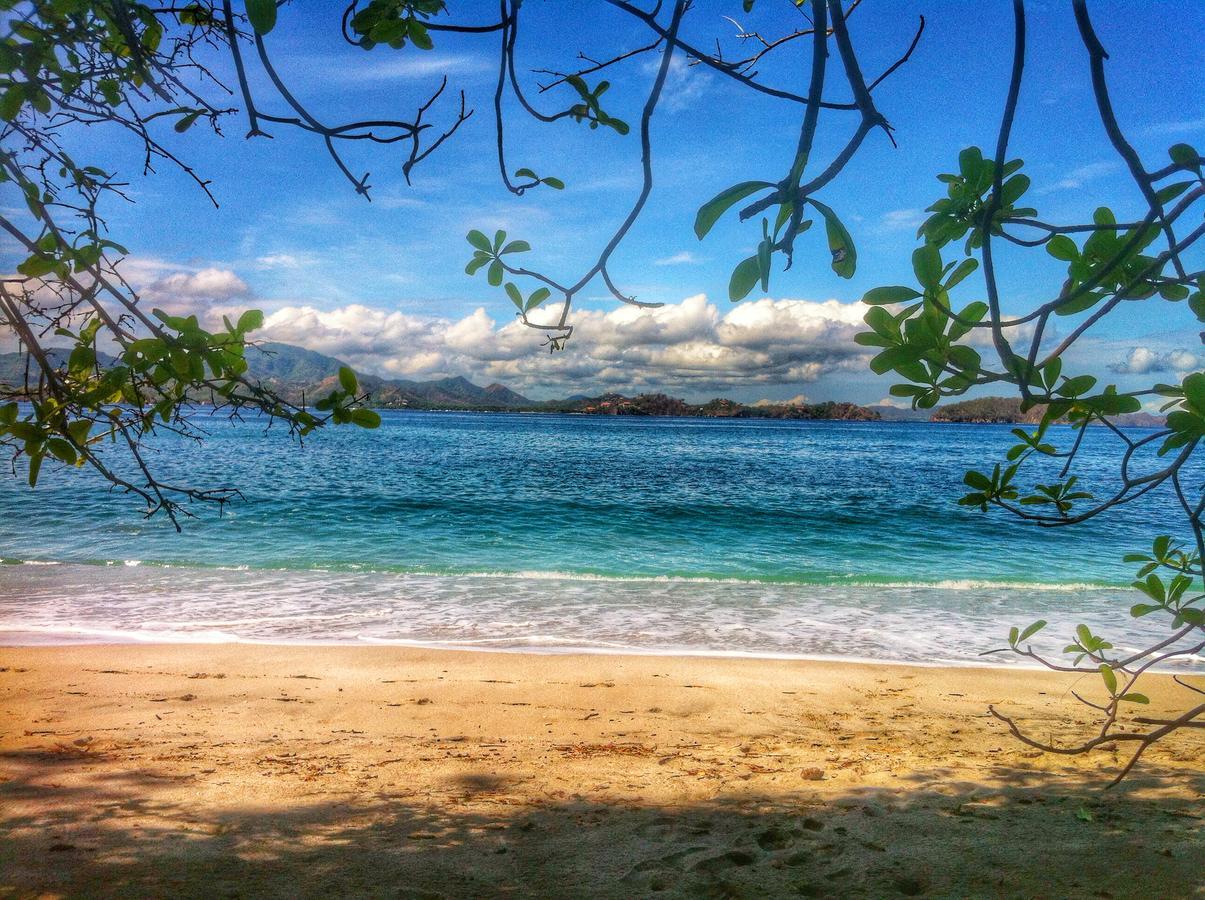In The Shade - Coworking - 300mbit - Adults Only Tamarindo