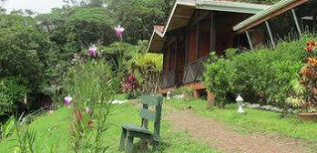 Lodge Heliconias Rainforest *