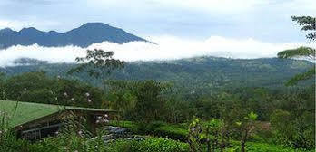 Lodge Heliconias Rainforest *