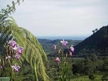 Heliconias Rainforest * Bijagua