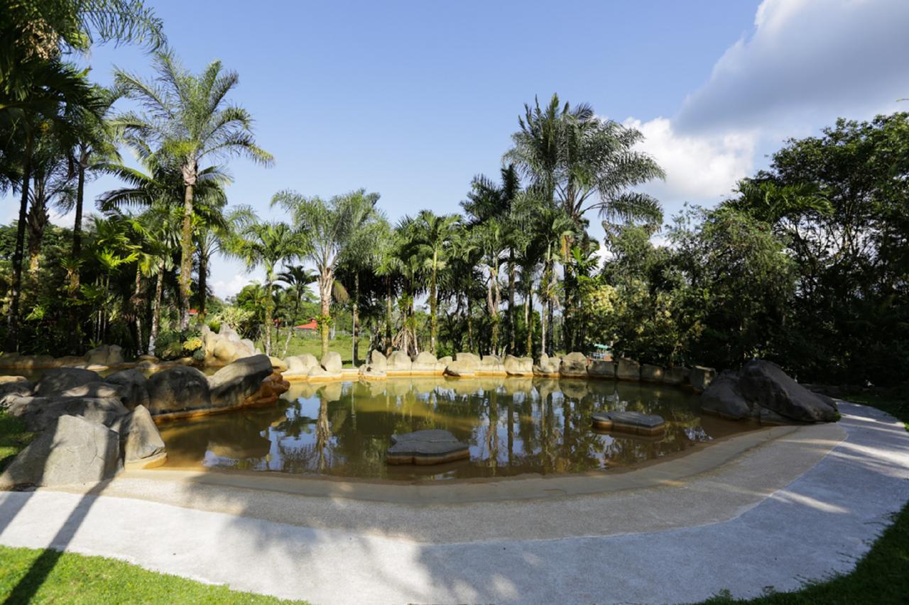 Arenal Paraiso & Thermo Mineral Hot Springs 3*
