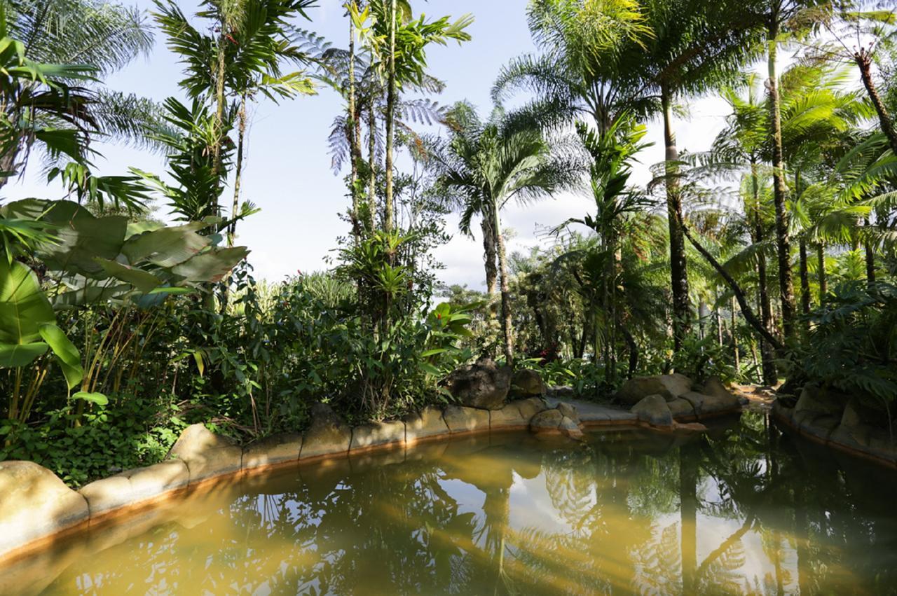 Hotel Arenal Paraiso & Thermo Mineral Hot Springs