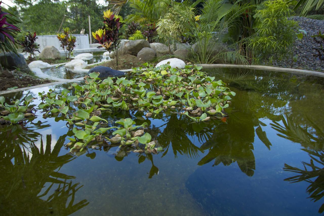 Villa Arenal La Fortuna