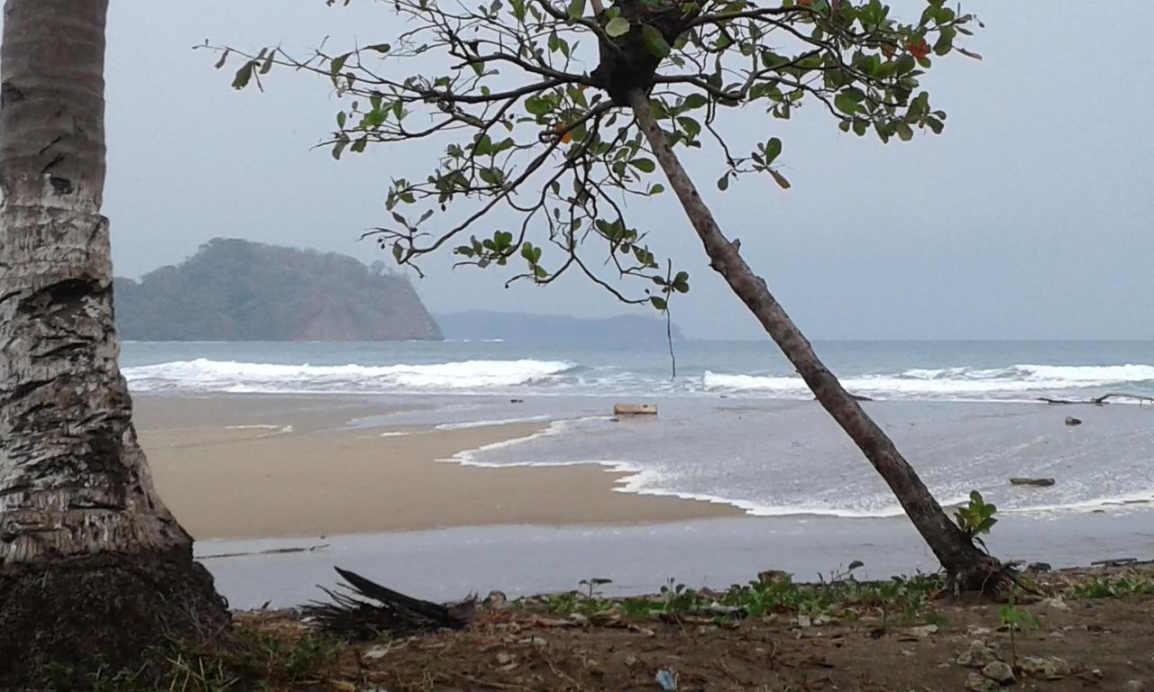 El Nido Rojo *