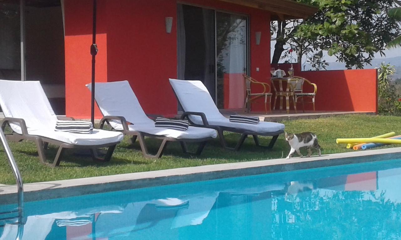 El Nido Rojo * Samara