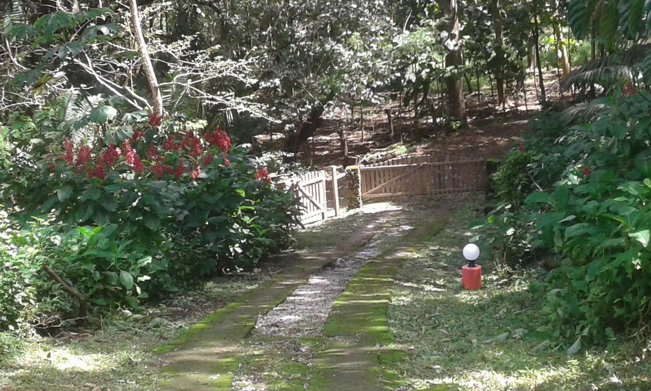 El Nido Rojo Bed & Breakfast *