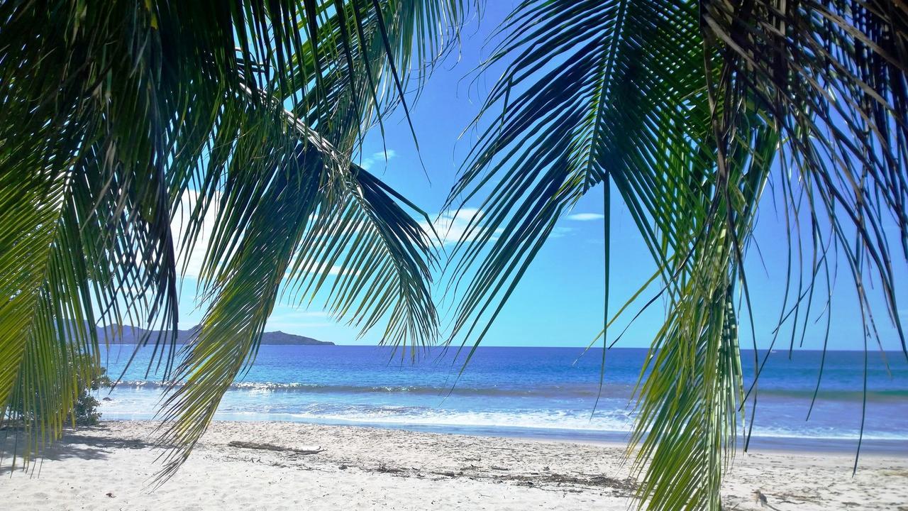 Hotel Guanacaste Lodge 3* Playa Flamingo