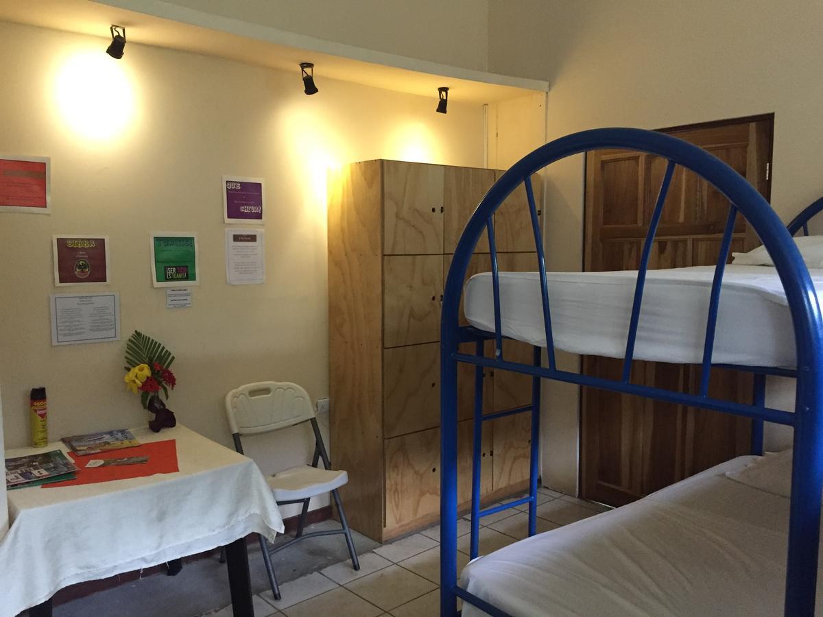 M&m Garden House Hostel Coco