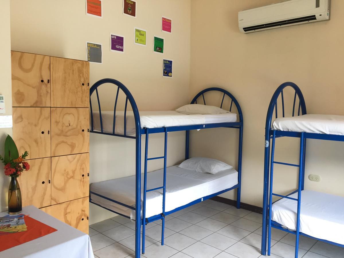 M&m Garden House Hostel Coco