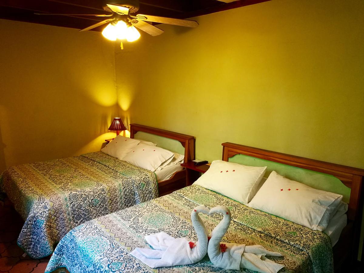 M&m Garden House Hostel