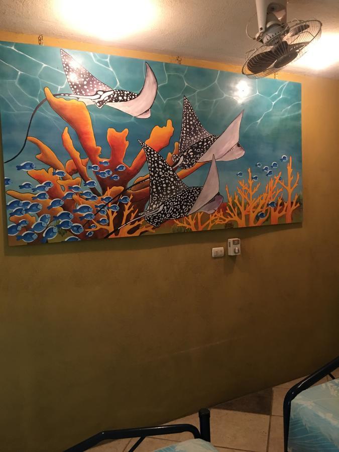 El Dorado Hostel Hostel *