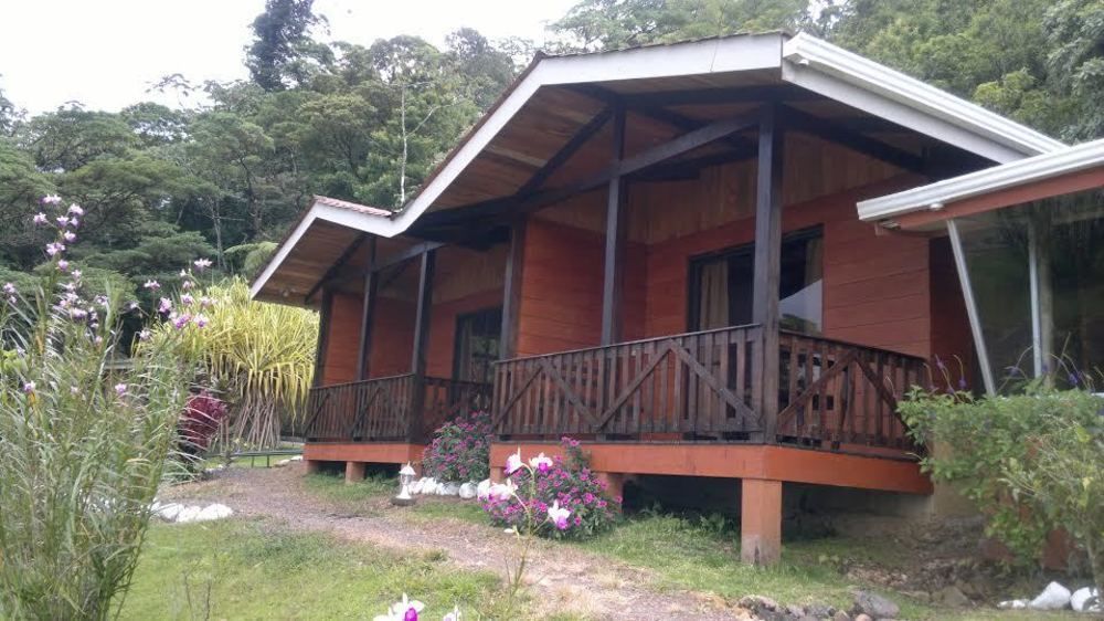 Lodge Heliconias Rainforest *