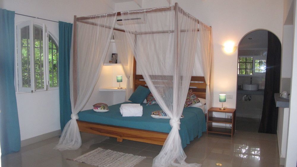 Casa Mapache
