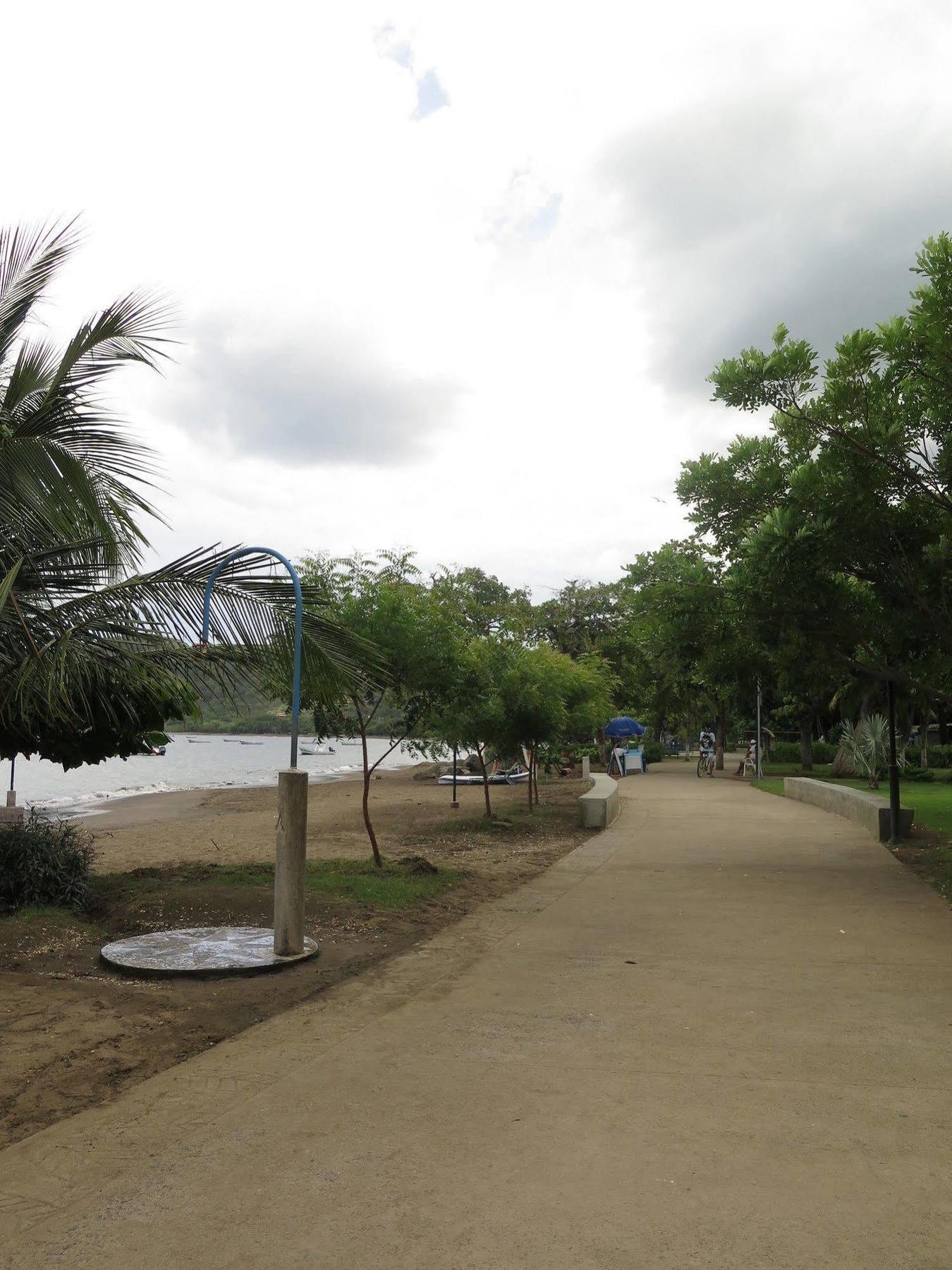 Savannah Playas del Coco