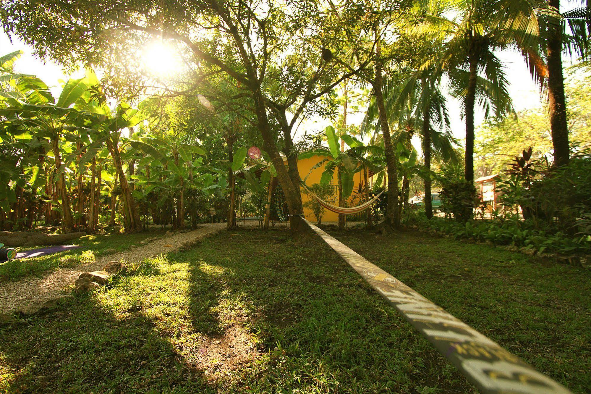 The Sunset Shack Hotel 3*