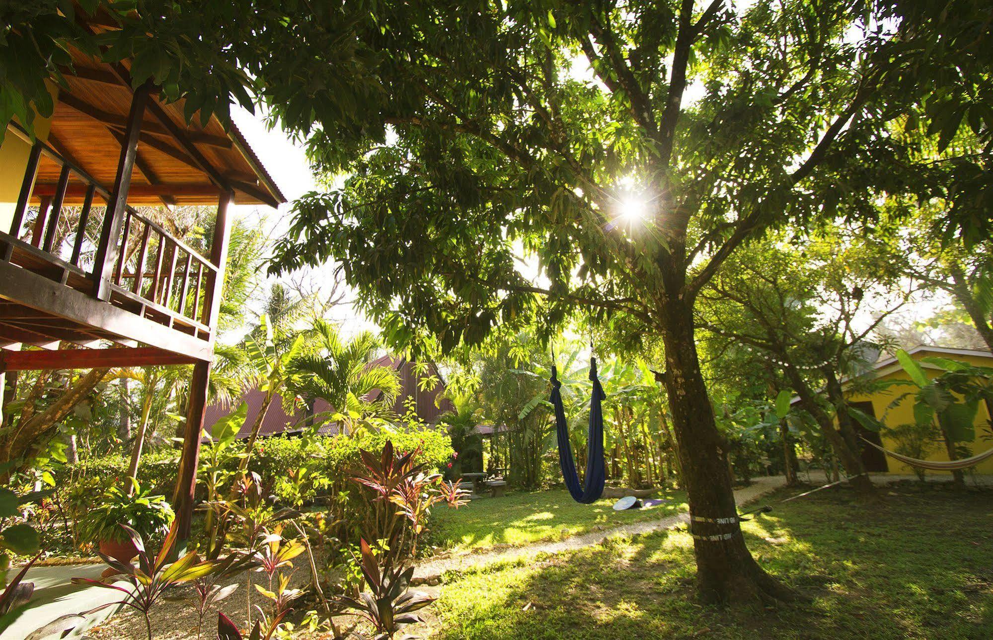 The Sunset Shack Hotel 3*