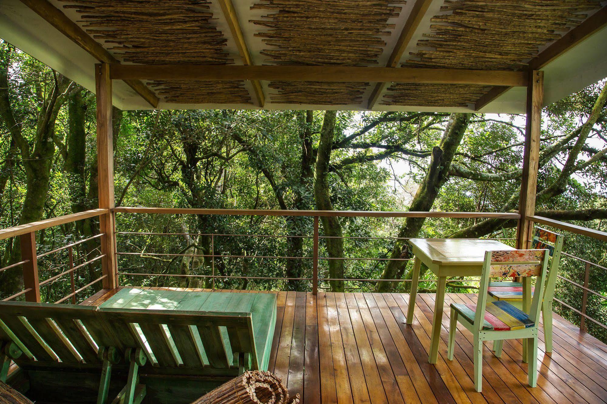 Chayote Hotel 3*