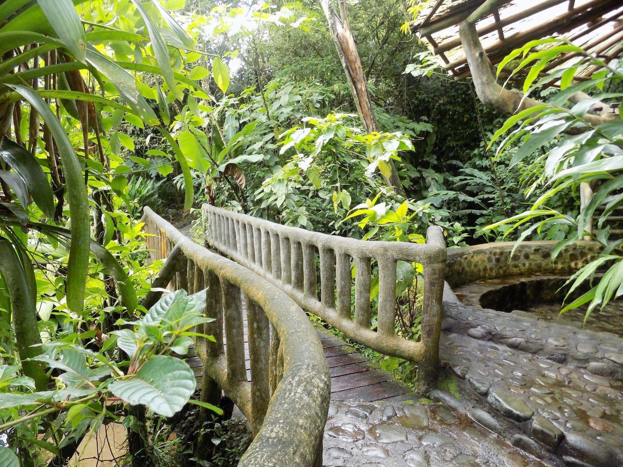 Rancho Margot Sustainable & Self Sufficient Eco