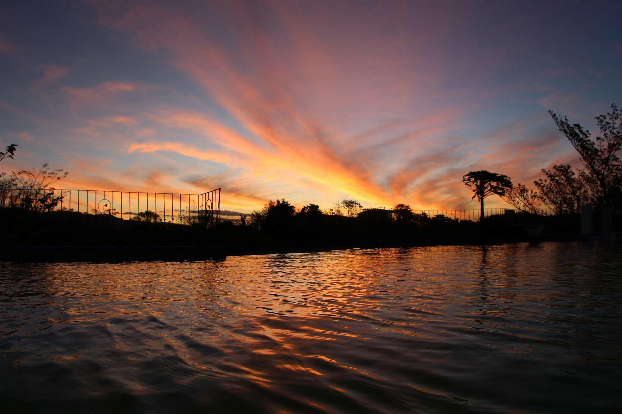Jungle's Edge Hotel
