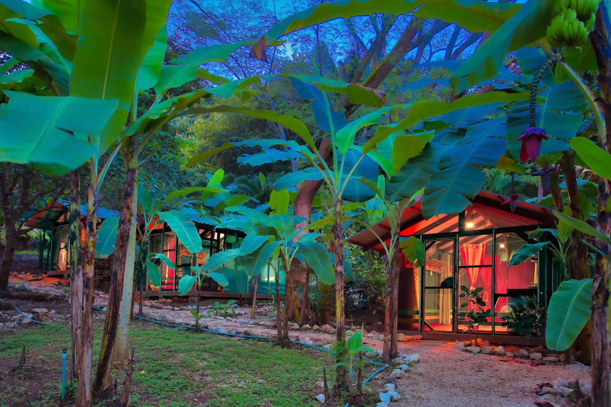 Jungle's Edge Hotel