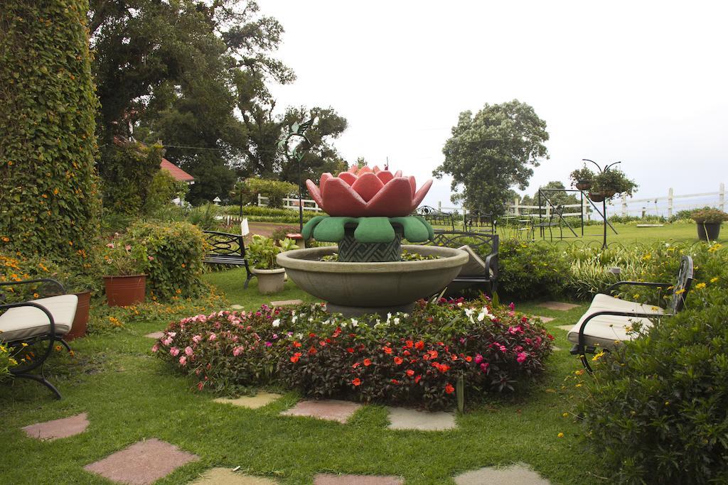 Hotel Altura Poasito