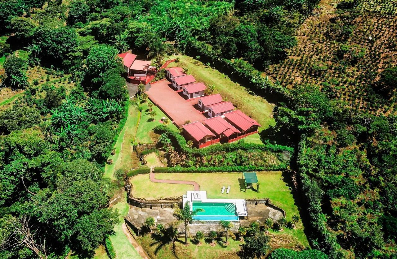 Mango Valley Grecia
