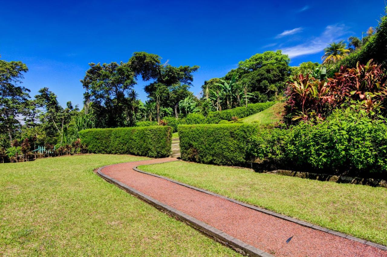 Hotel Mango Valley 3*