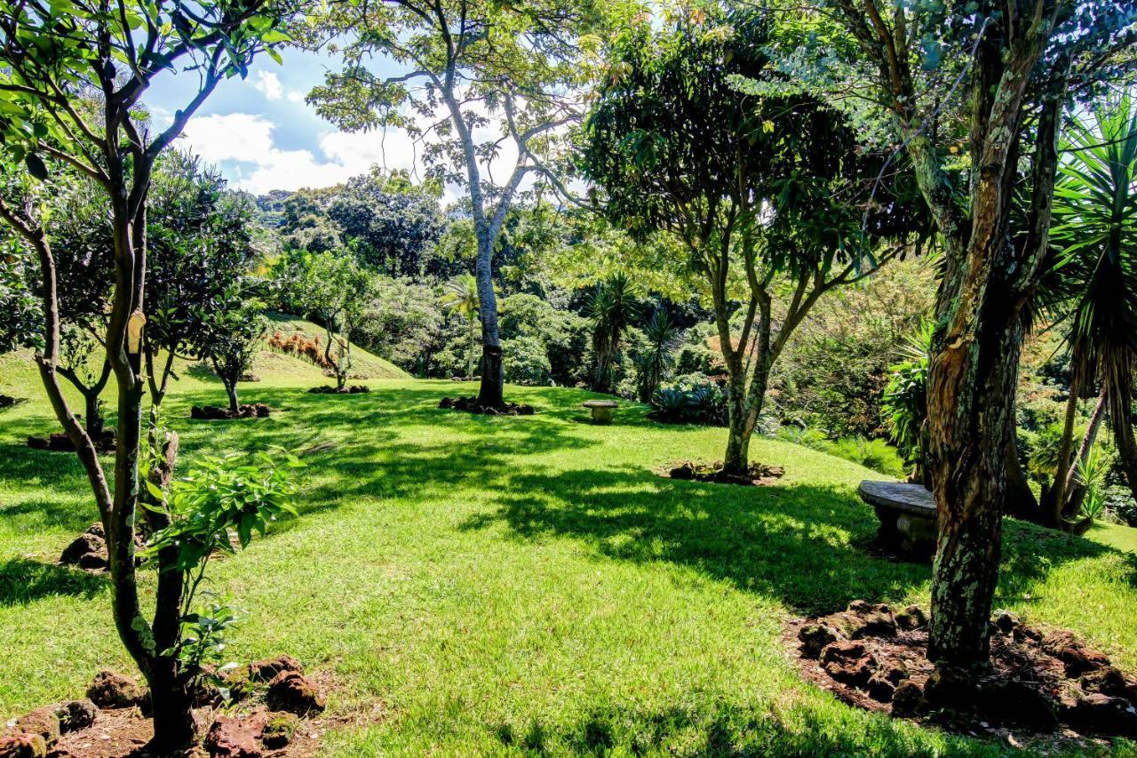 Mango Valley 3* Grecia
