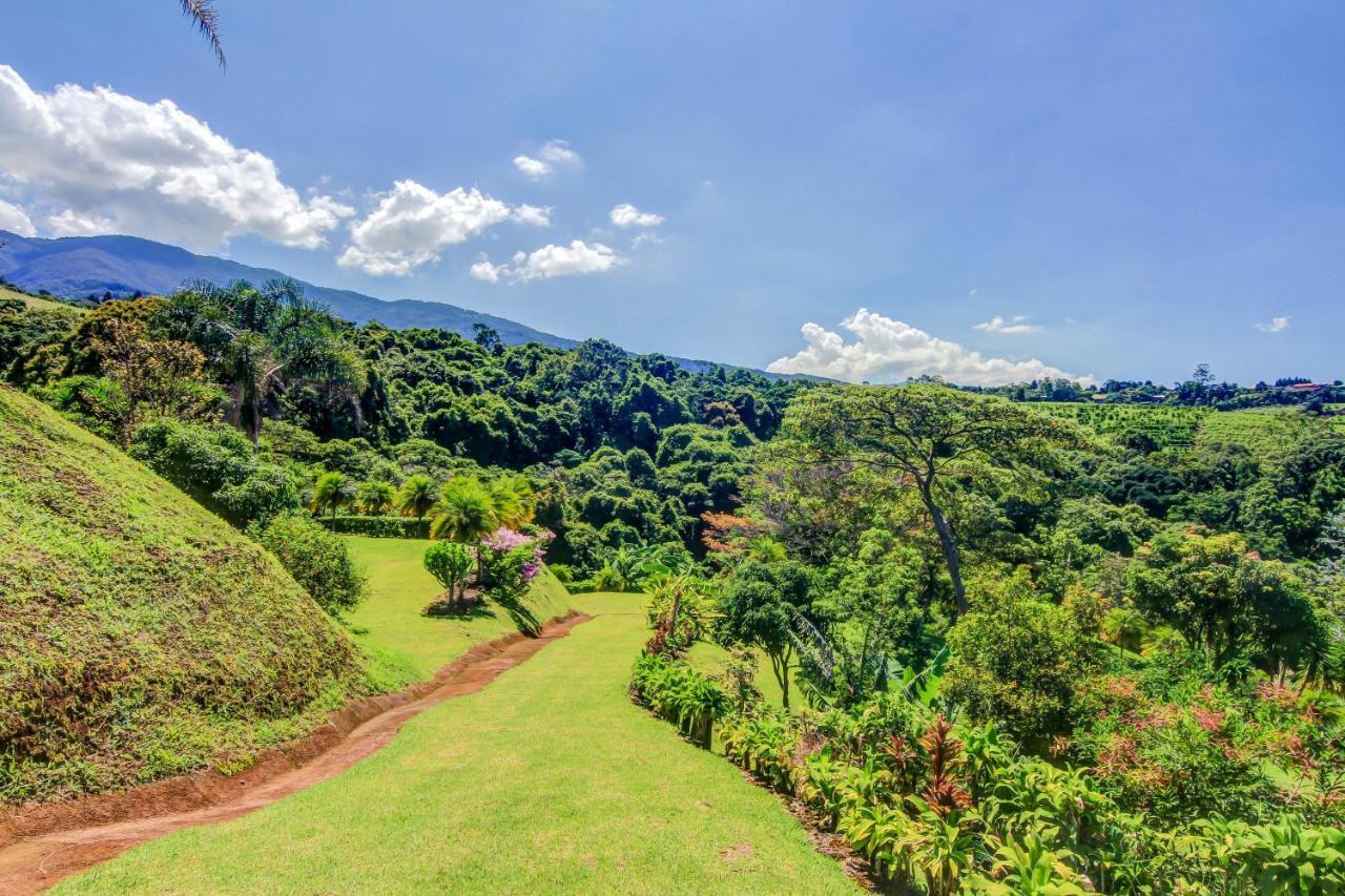 Hotel Mango Valley 3*