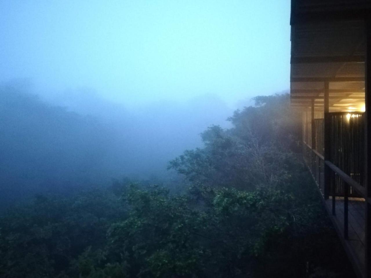 Pibi Boreal
