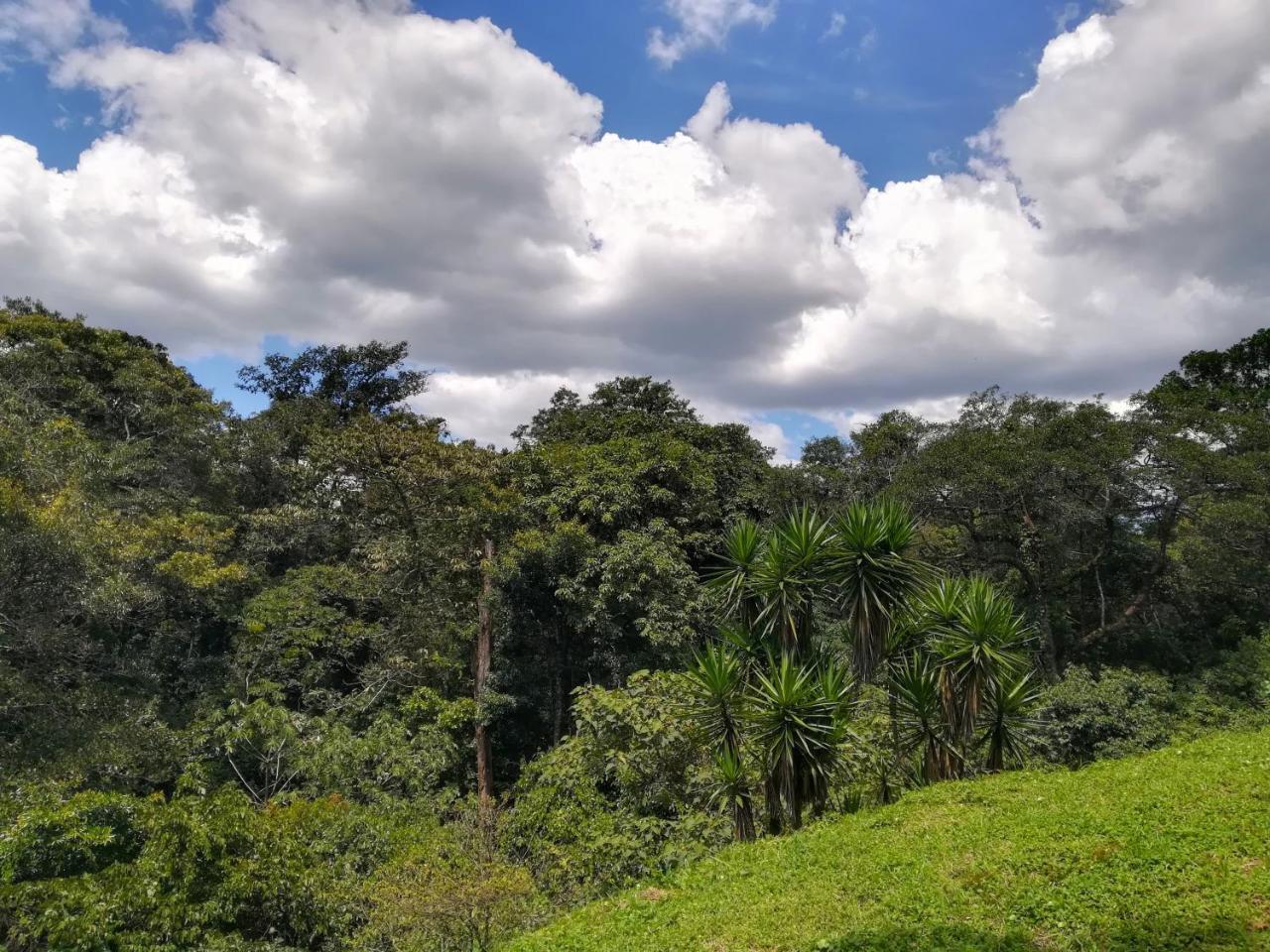 Pibi Boreal 3* Alajuela