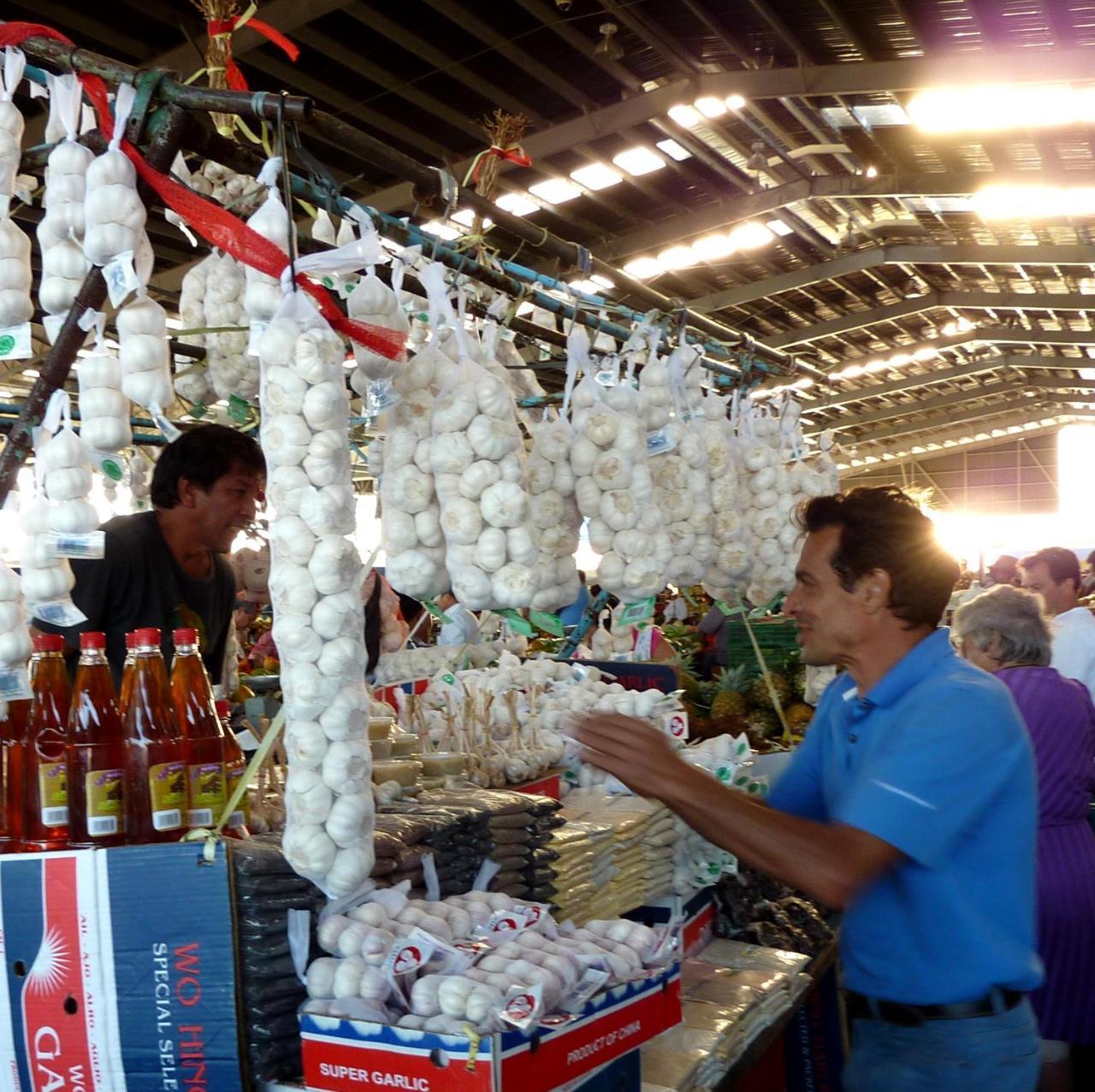 Pura Vida Alajuela