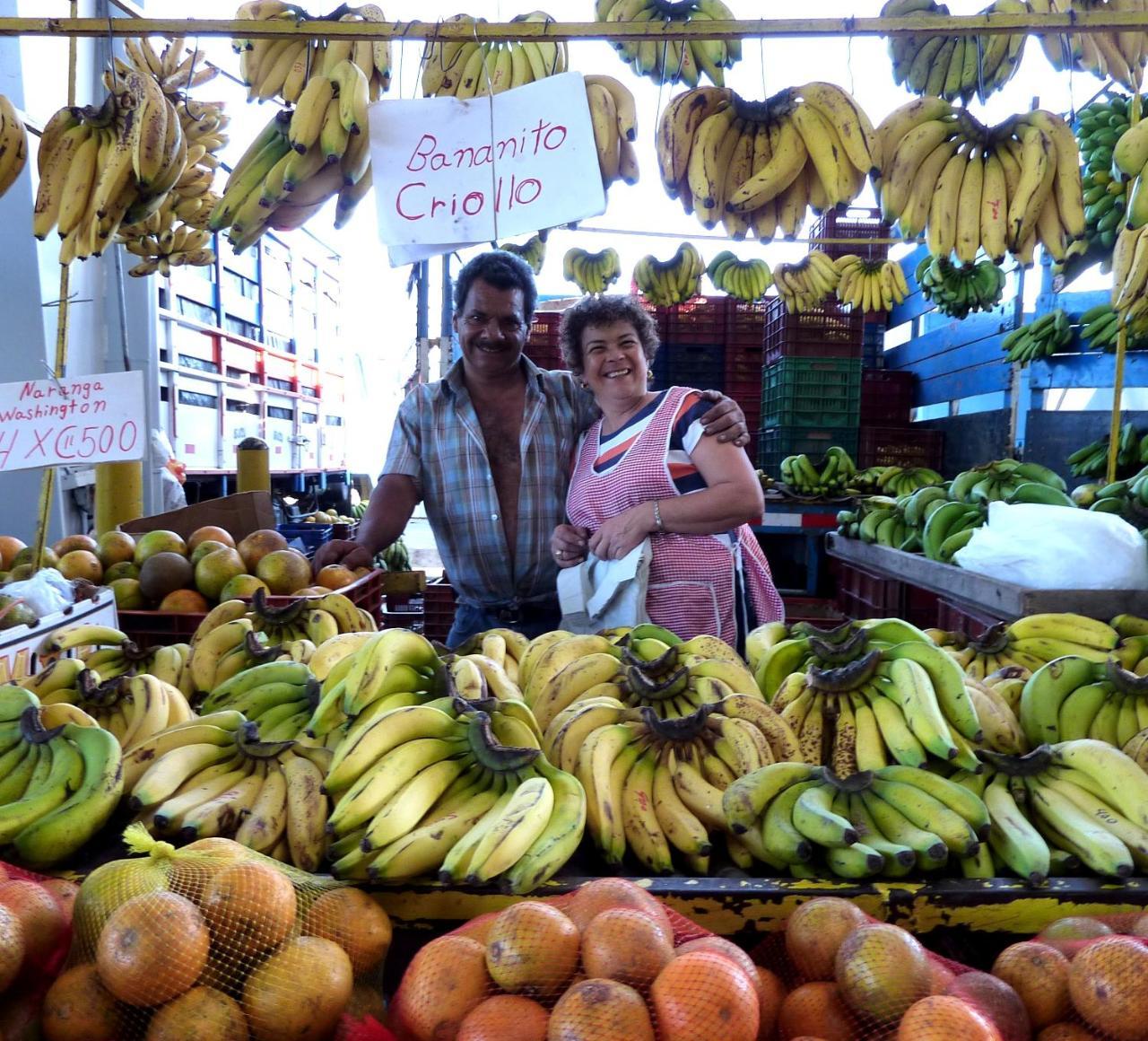 Pura Vida 4* Alajuela