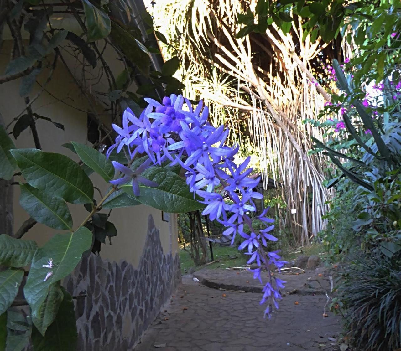 Pura Vida Bed & Breakfast