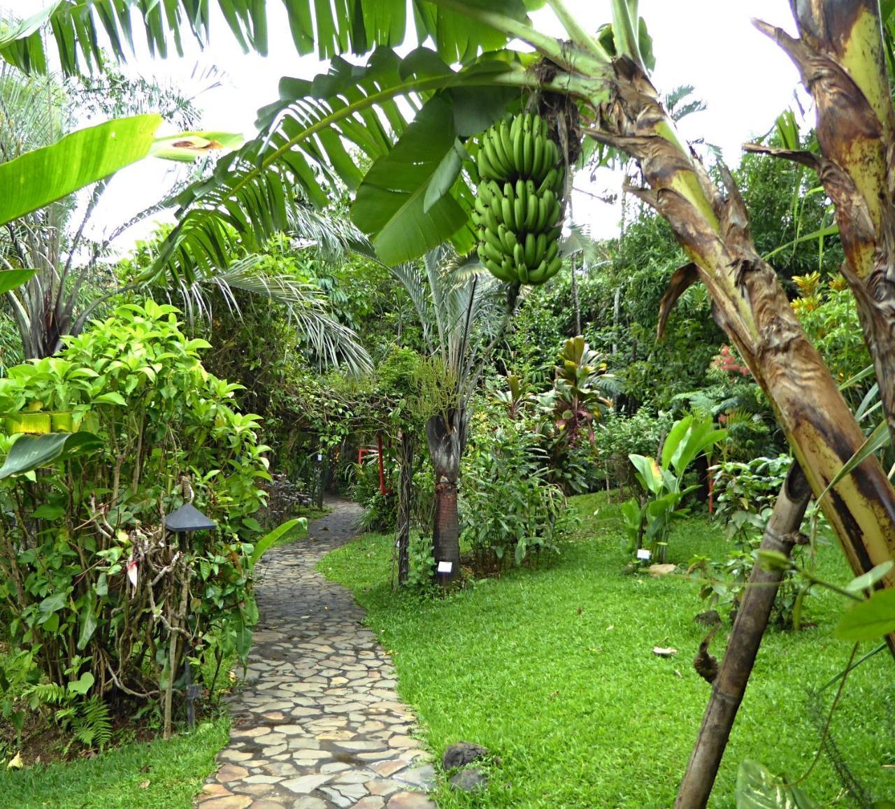 Pura Vida