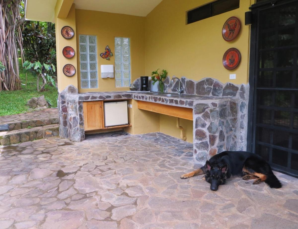 Bed & Breakfast Pura Vida