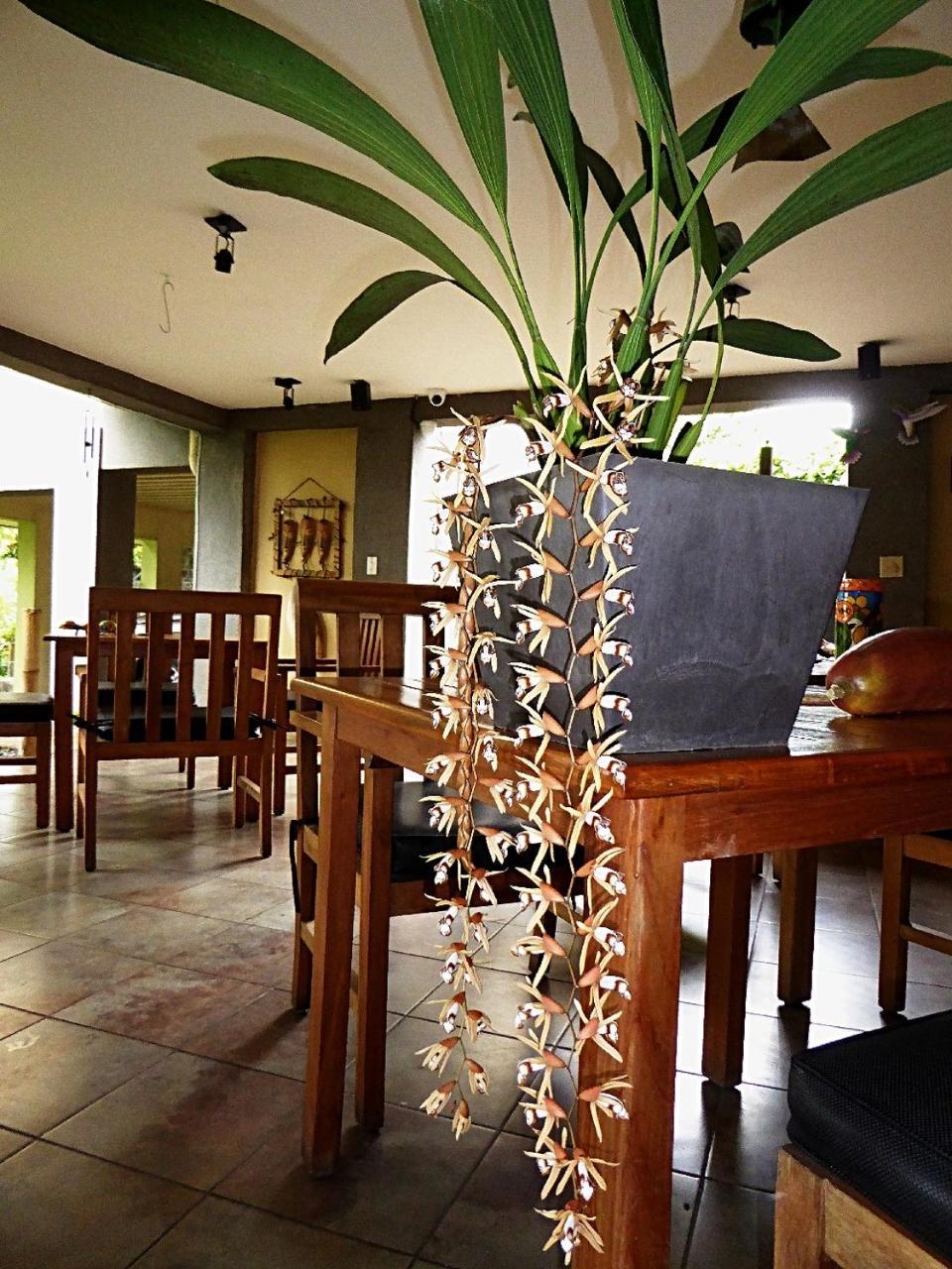 Pura Vida 4* Alajuela