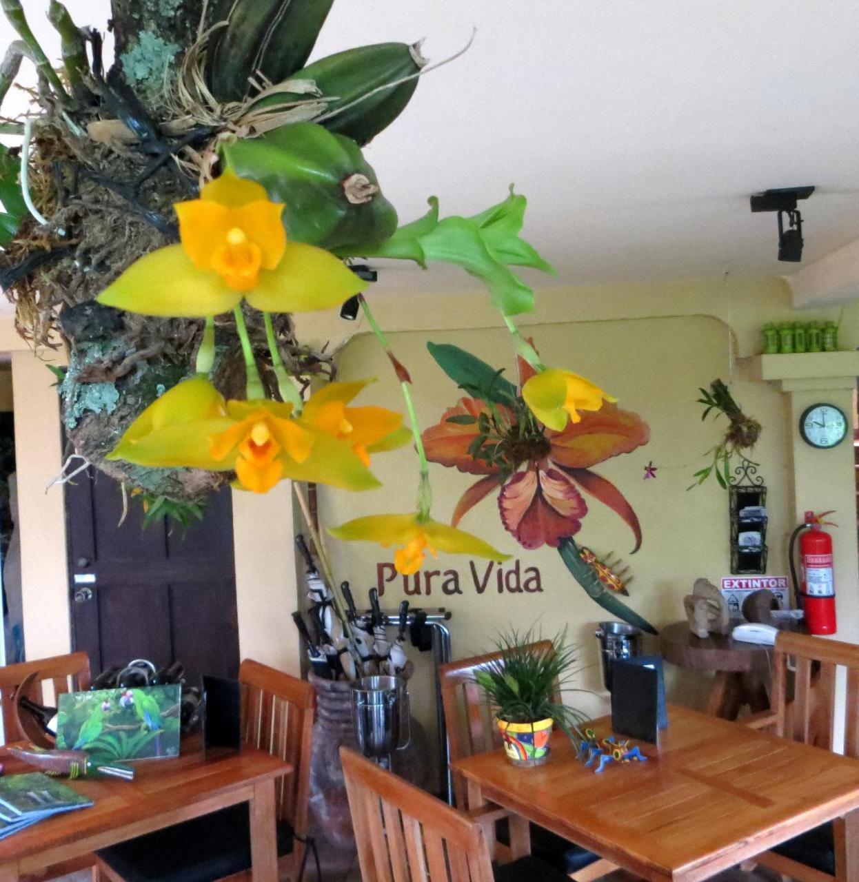 Pura Vida Bed & Breakfast Alajuela