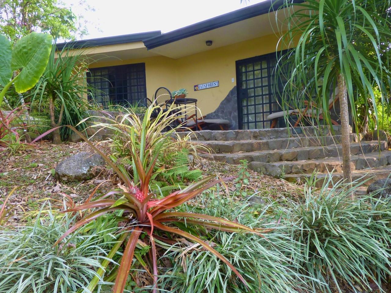 Pura Vida Bed & Breakfast Alajuela
