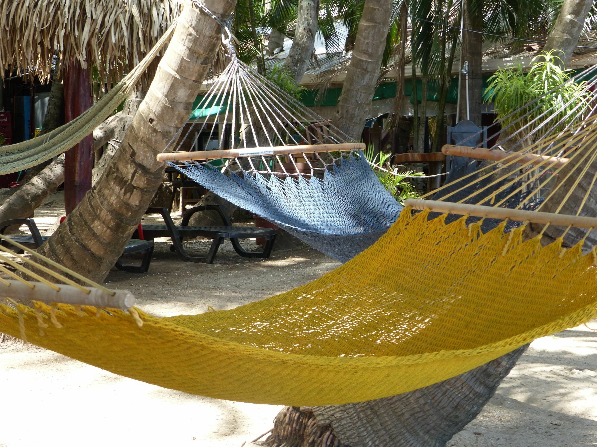 La Palapa Tamarindo