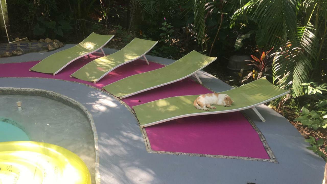 Lodge La Tropicale *